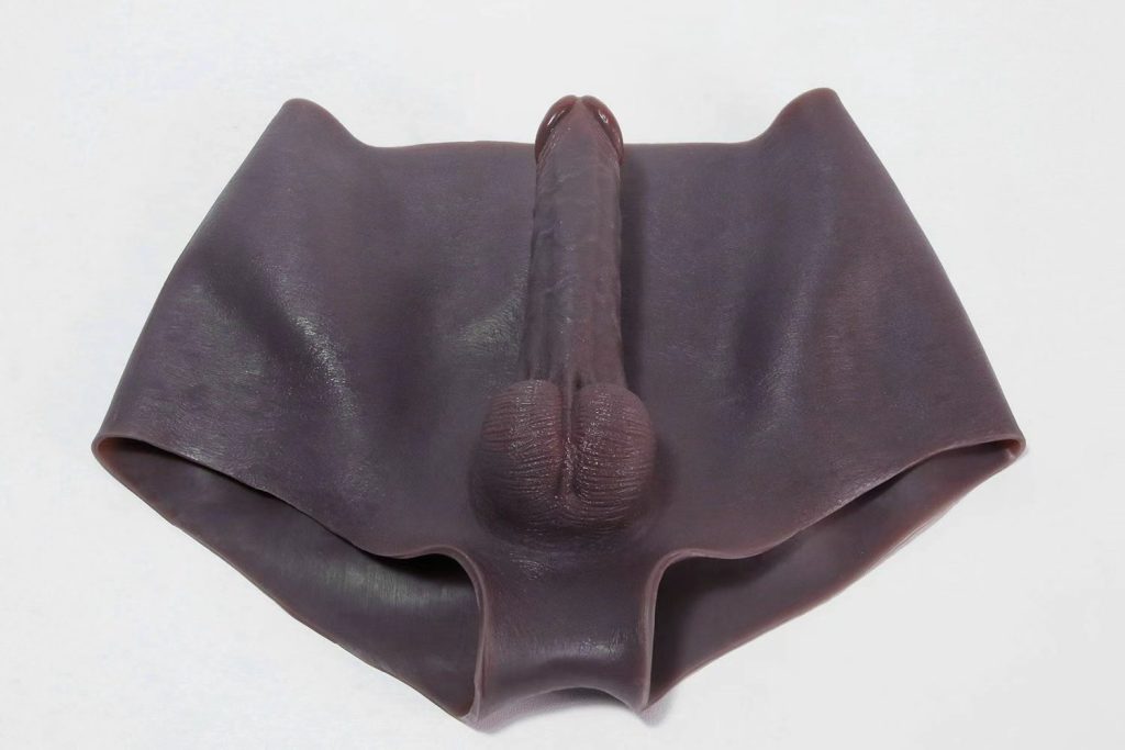 FTM Packing Boxer Briefs with Prosthetic