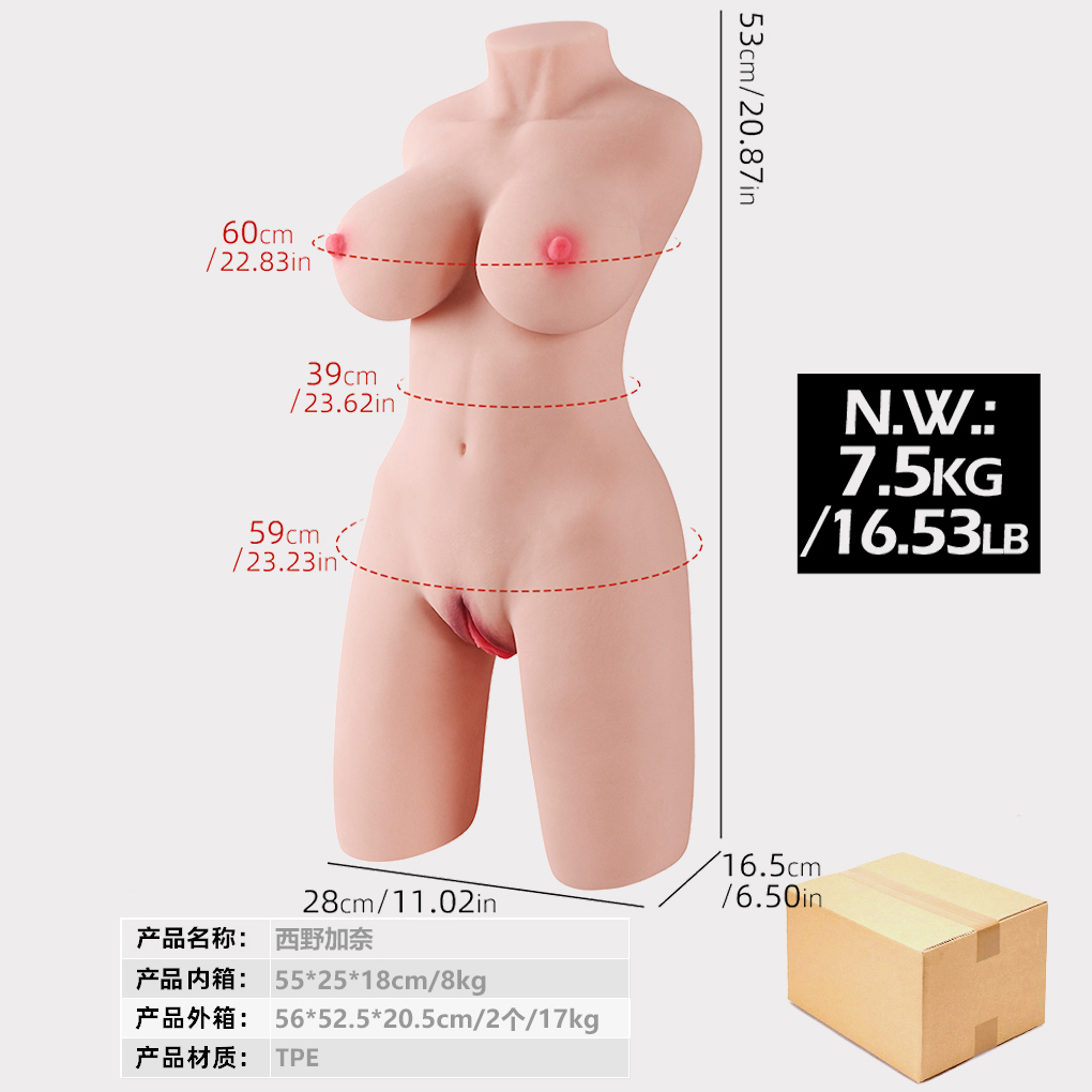 Realistic Buttocks Masturbator
